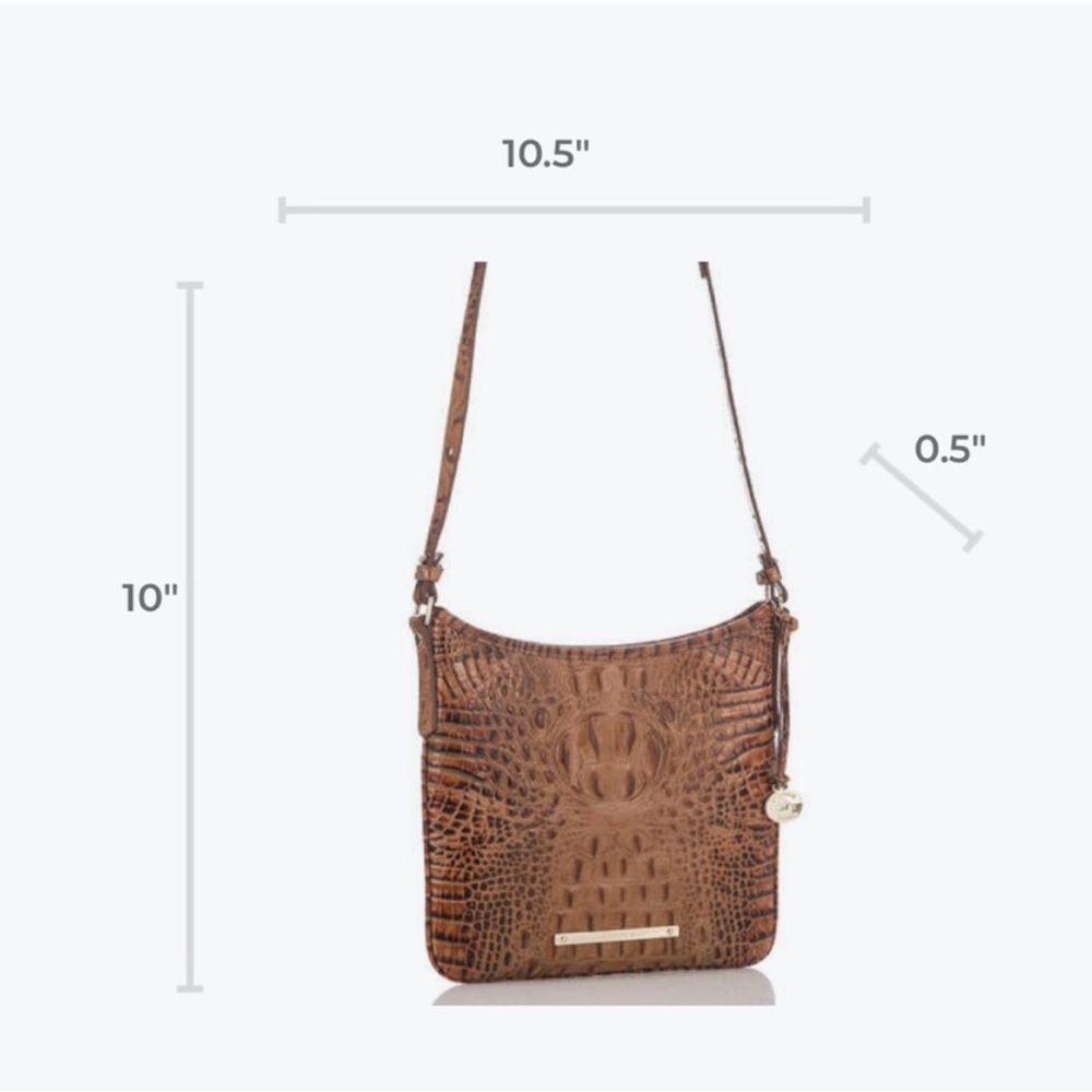 Brahmin Jody